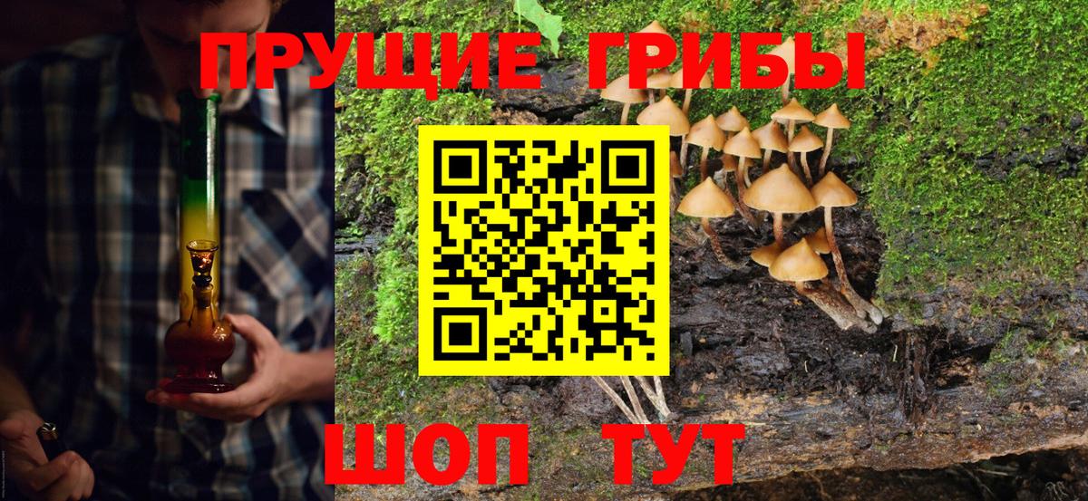 Псилоцибиновые грибы мицелий Ивантеевка